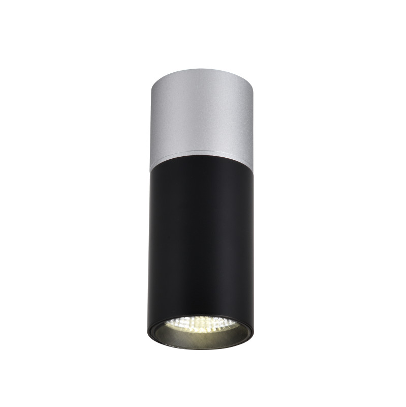 Светильник 5*5 см, LED 5W, 4000K Favourite Deepak 3072-1C, D50*H139, Светильник, каркас сочетает в себе два цвета - серебро и матовый черный