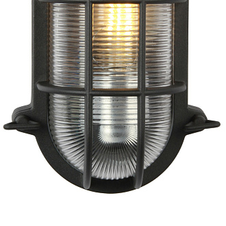 Уличный светильник Favourite Pointer 3022-1W, D106*W248*H160, Каркас черного цвета, плафон из закаленного прозрачного стекла, IP54
