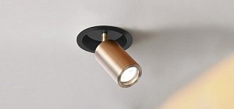 Врезной светильник Favourite Angularis 2801-1C, D80*H175, врезной светильник с углубленной базой, поворотный плафон, сочетание латунного и черного цветов каркаса