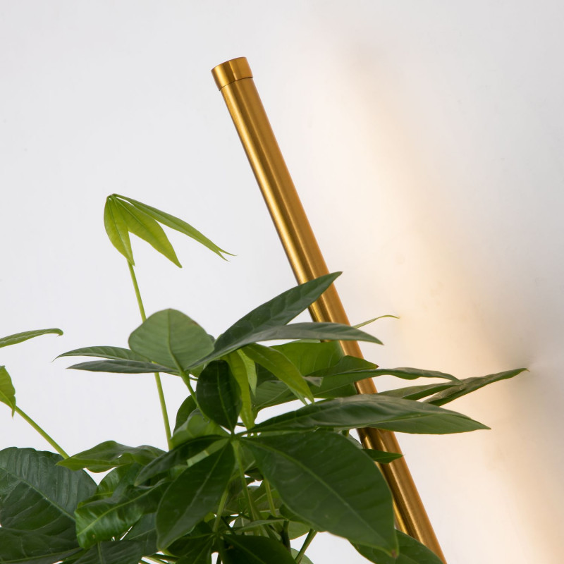 Бра Favourite Greenery 4050-1W, D210*W120*H600, светильник с подставкой для кашпо, золотой латуни, рассеиватель из белого акрила, кашпо входит в комплект