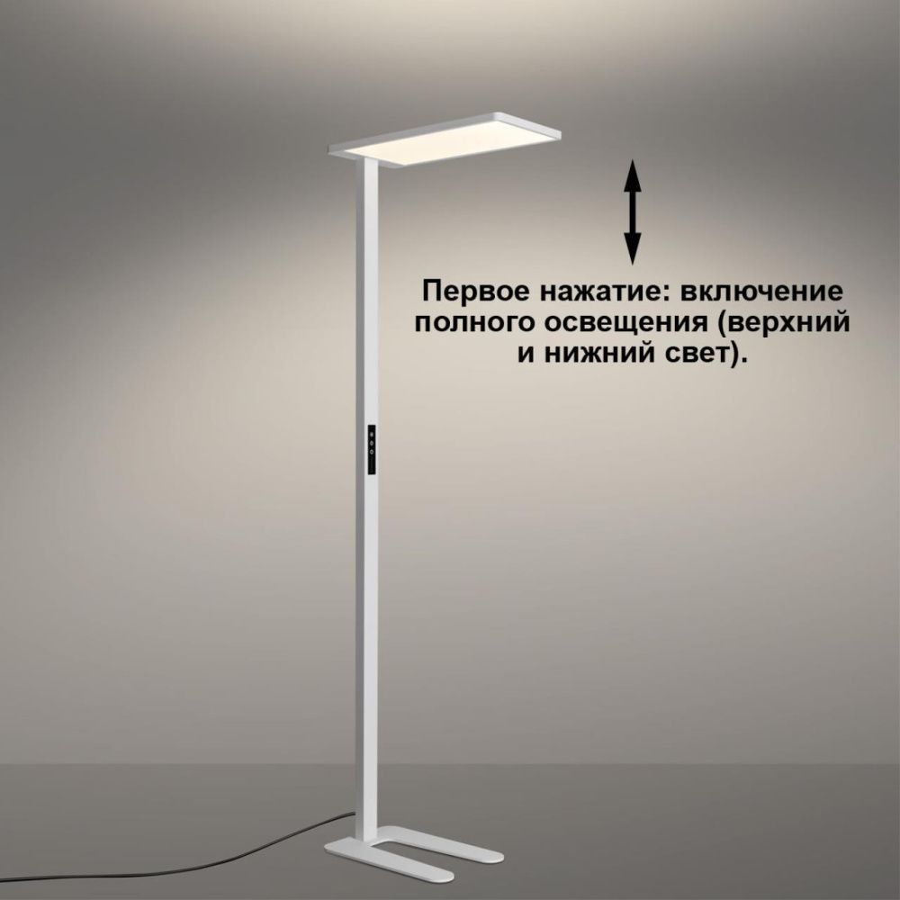 Торшер светодиодный диммируемый полного спектра 60*28,8*-194,7 см, 2*LED*100W, 4000K, Novotech STUDI 359545, белый