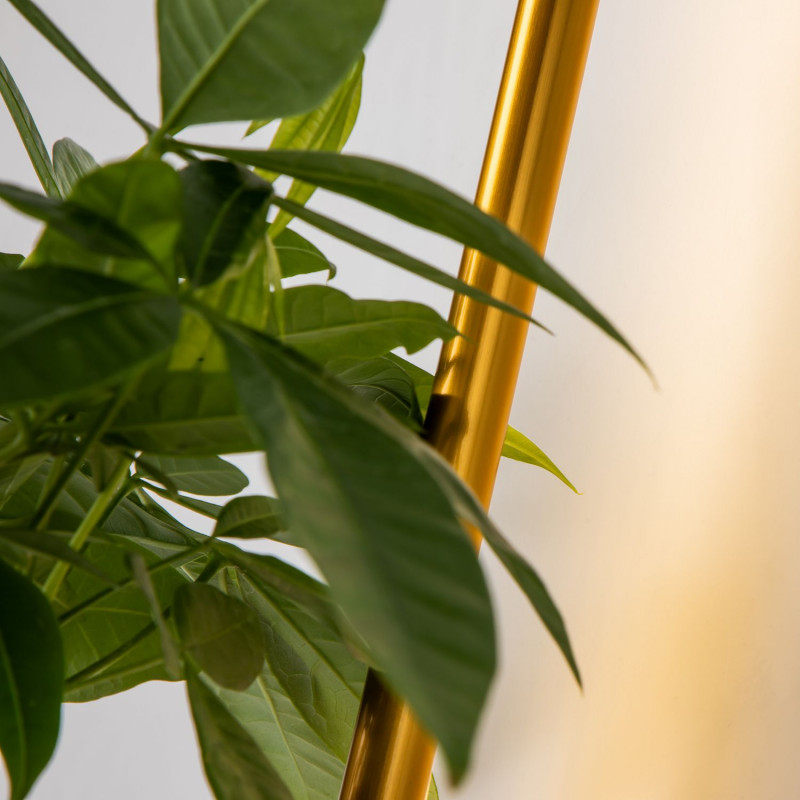 Бра Favourite Greenery 4050-1W, D210*W120*H600, светильник с подставкой для кашпо, золотой латуни, рассеиватель из белого акрила, кашпо входит в комплект
