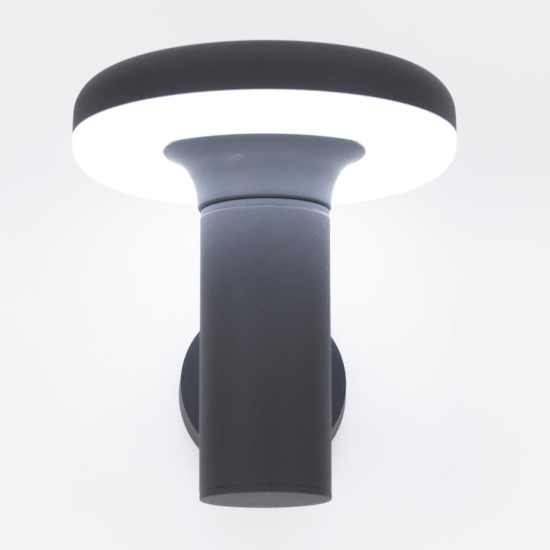 Светильник уличный Citilux CLU01W, графит