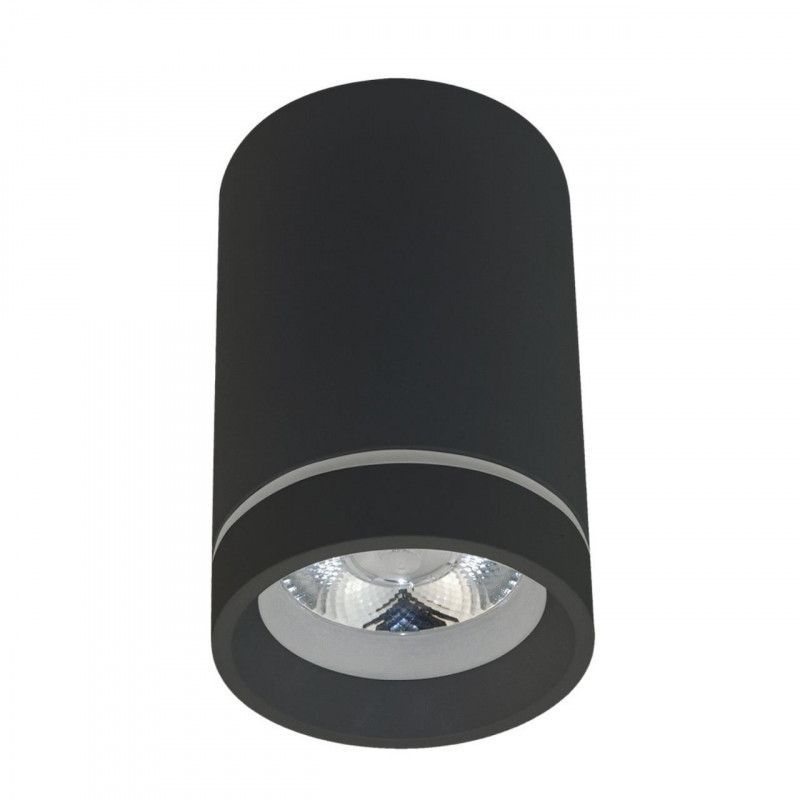 Светильник 6,5*11 см 10W, 4000K, Aployt Edda APL.0054.19.10, черный