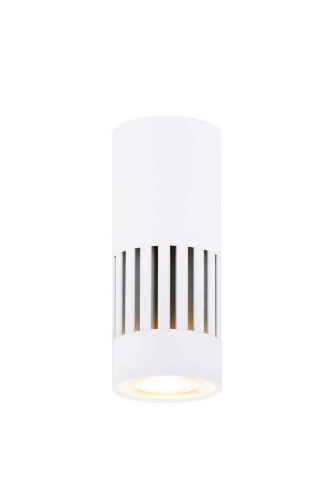 Светильник Ø53 x H133, мм, 1*10W, SWT (Белый) Rilon 031 SWT