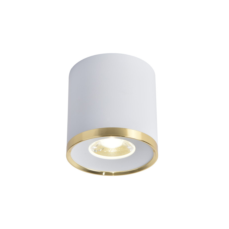 Светильник 8*8 см, LED 10W, 4000K Favourite Prakash 3085-2C, D88*H91, Светильник, каркас сочетает в себе два цвета - матовый белый и золото, декоративный элемент в виде кольца