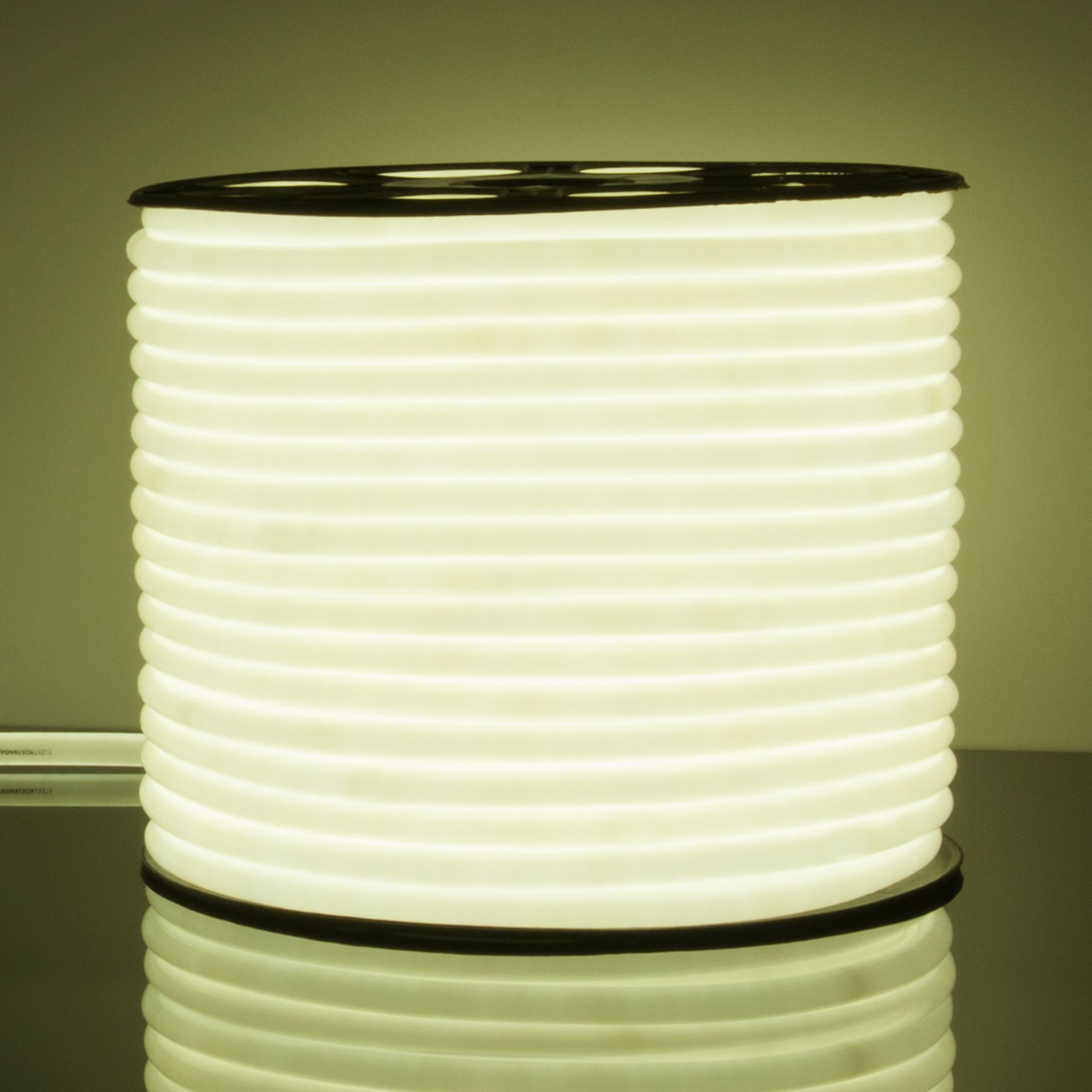 Светодиодный гибкий неон Гибкий неон 220V 9,6W 144Led 2835 IP67 круглый холодный белый, 50 м Elektrostandard, цена за метр