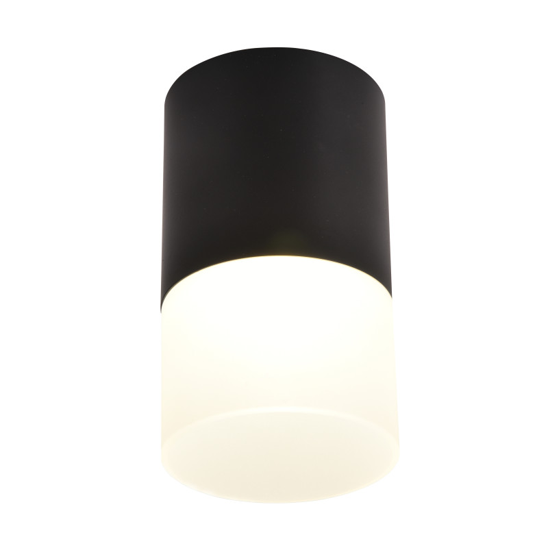 Светильник 6*6 см, LED 5W, 4000K Favourite Naram 3070-1C, D64*H110, Светильник, каркас черного матового цвета, рассеиватель из белого акрила