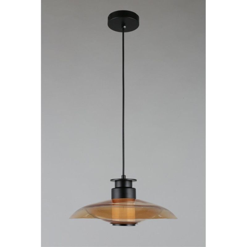 Подвесной светильник 30*40-200 см, 1*LED, 10W, 3000K, Aployt Stefa APL.648.16.10, черный