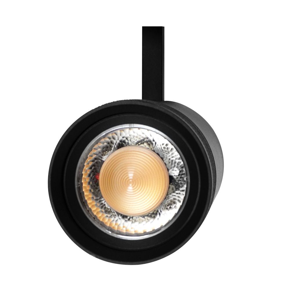 Светильник профессиональный тушка BARRA/QUATTRO высокого качества света с углом рассеивания 20-55G *8*17,6 см, *30W, 2700-4200-6000K, Lightstar Canno Pro 304307, Черный