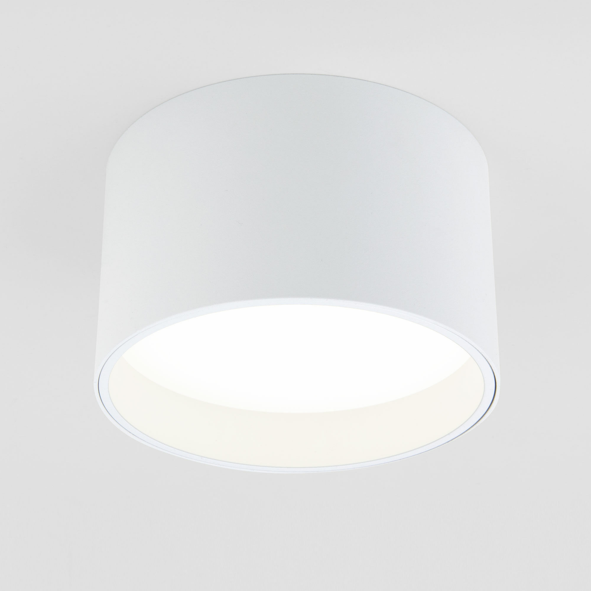 Накладной светодиодный светильник белый 25123/LED Banti 13Вт 4200K Elektrostandard