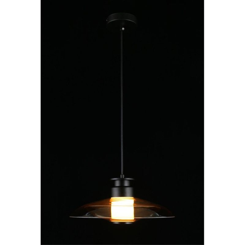 Подвесной светильник 30*40-200 см, 1*LED, 10W, 3000K, Aployt Stefa APL.648.16.10, черный
