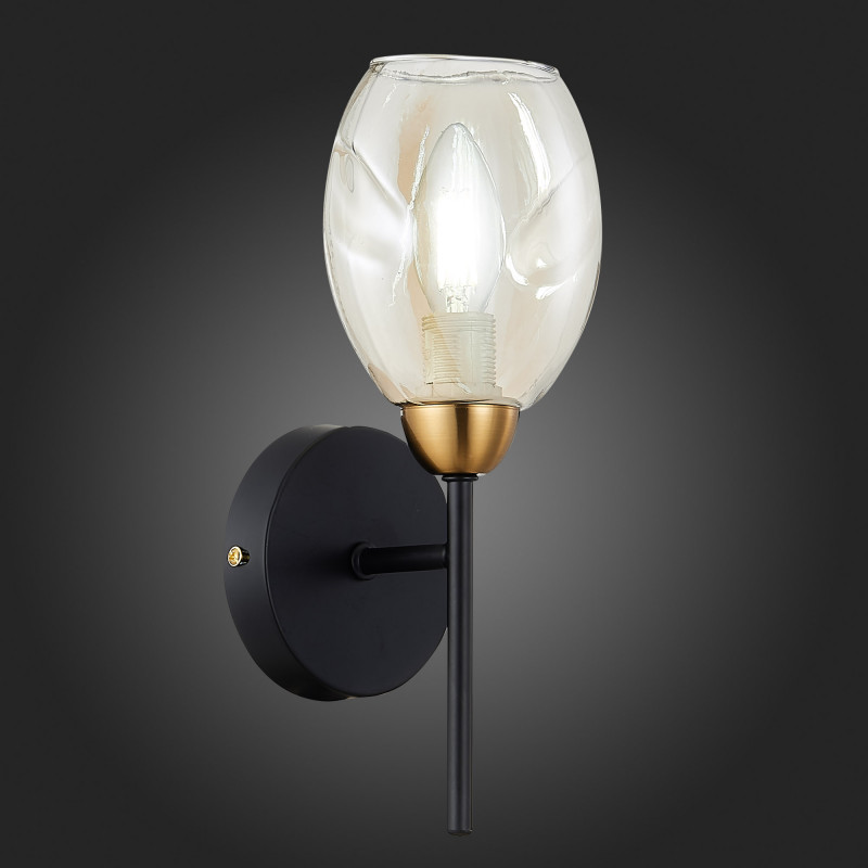 Бра 13 см,  EVOLUCE GLOA SLE155501-01 Черный, Латунь