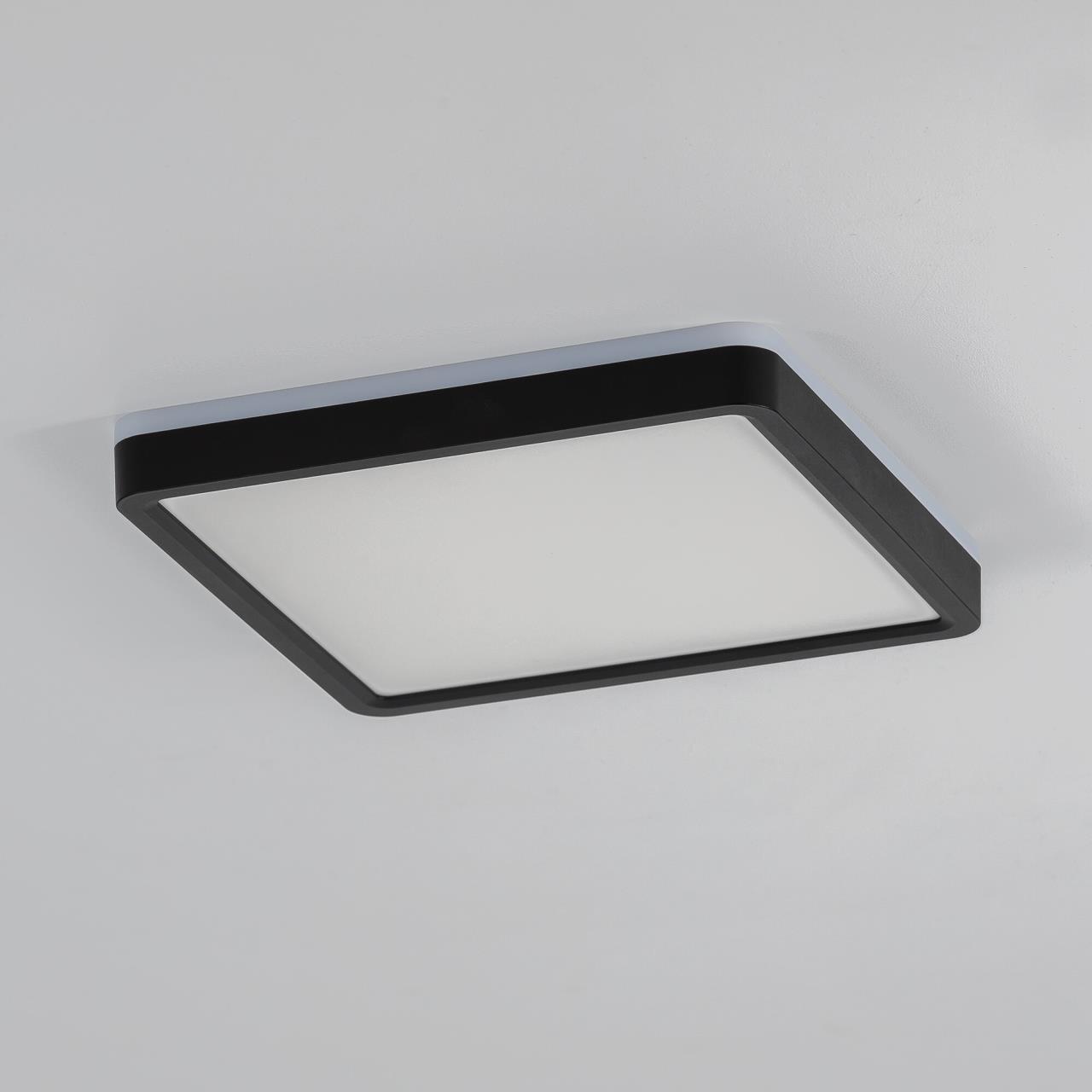 Светильник с подсветкой 20 см, 23W, 3000-5500K, Citilux NORMA CL748K201 LED, черный