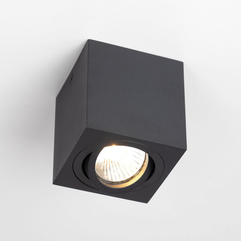 Светильник Черный Citilux Дюрен CL538213