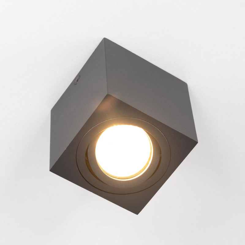 Светильник Черный Citilux Дюрен CL538213