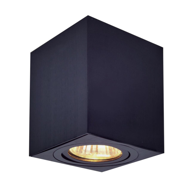 Светильник Черный Citilux Дюрен CL538213