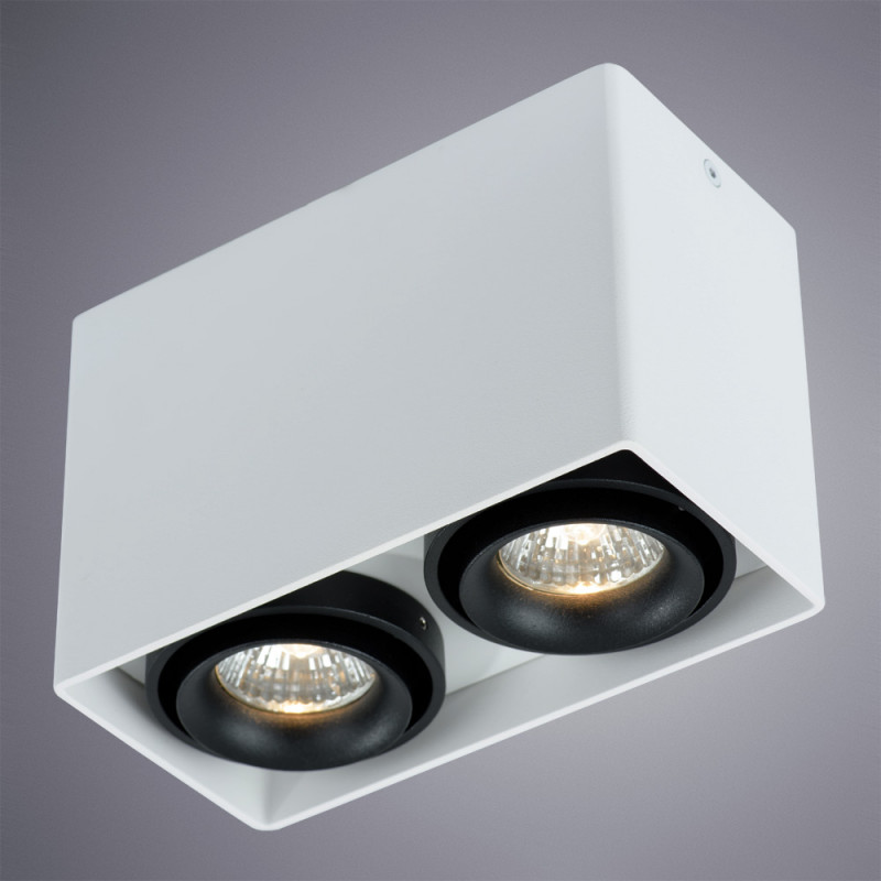 Накладной светильник Arte Lamp A5655PL-2WH белый