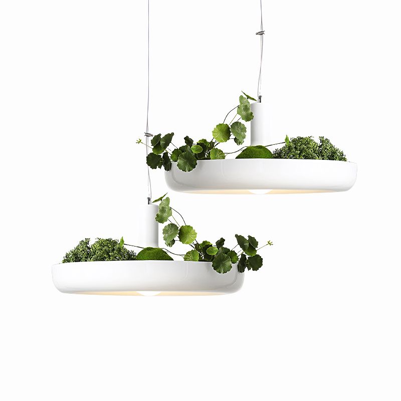 Подвесной светильник Inodesign Plant 40.404