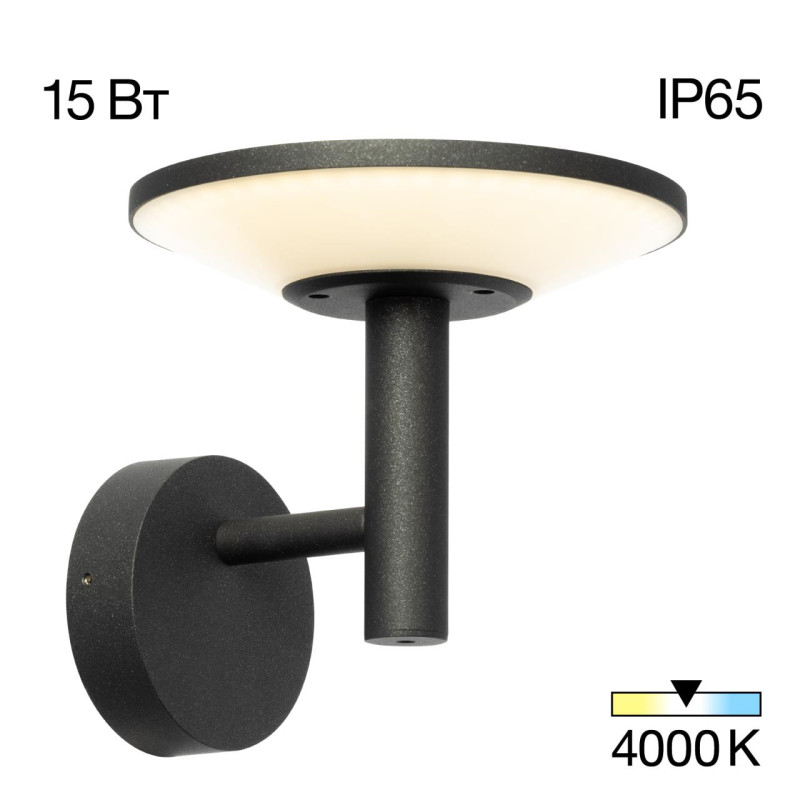 Светильник 20 см, 15W, 4000K, Citilux Dorn CLU05W LED, графит