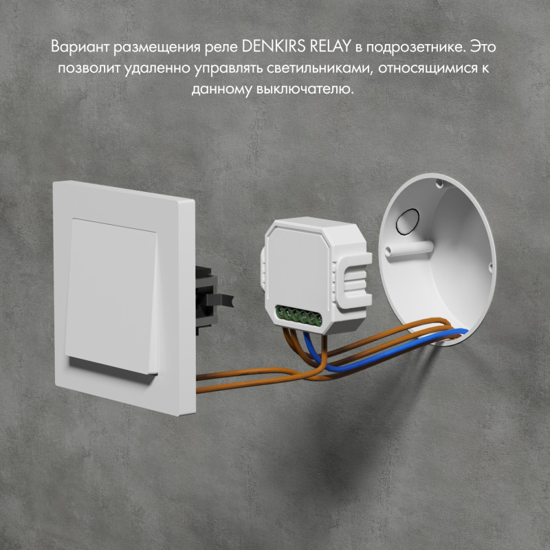 Wi-Fi реле Denkirs RL1003-DM белый