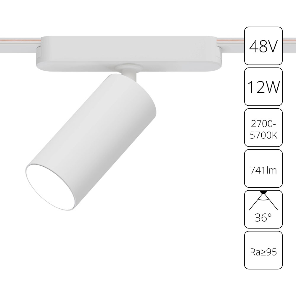 Трековый магнитный светильник 5 см, 12W, 2700-6500K, Arte Lamp Rapid A2958PL-1WH, белый