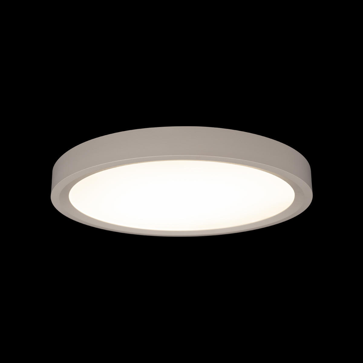 Потолочный светильник 30*3 см, 1*LED*24W 4000K белый LOFT IT Extraslim 10227/24 White