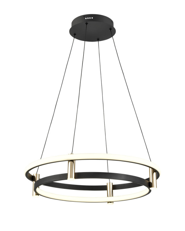 Подвесной светильник  60*120 см, 6*LED черный, золото Vele Luce Libertas VL7314P14