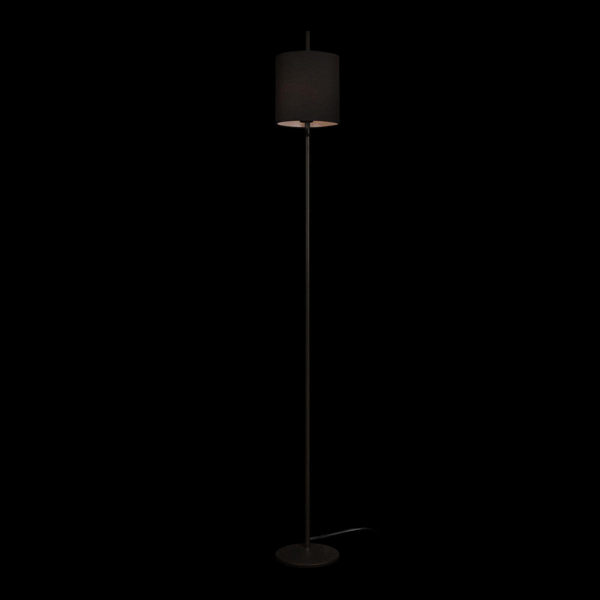 Торшер 20*176 см, 1*E27*40W  LOFT IT Ritz 10253F/A Black черный