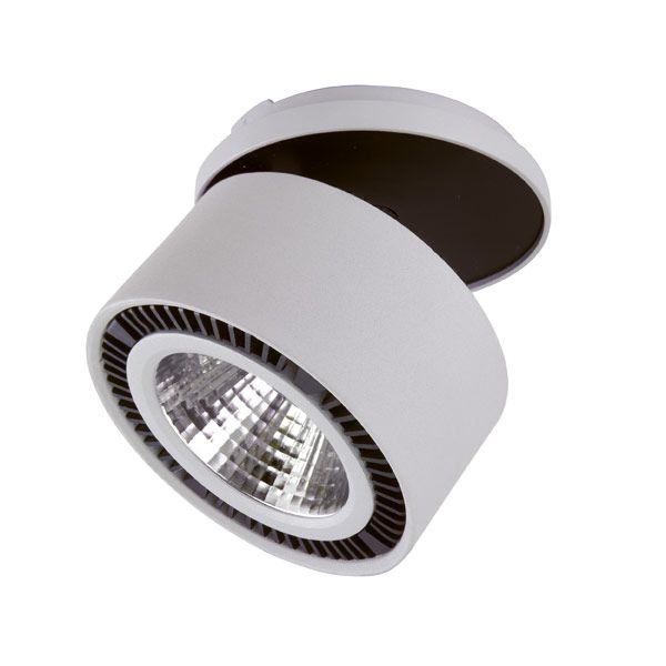 Светильник LED Lightstar Forte Inca LIG214829 Серый Черный диаметр 11,7 см
