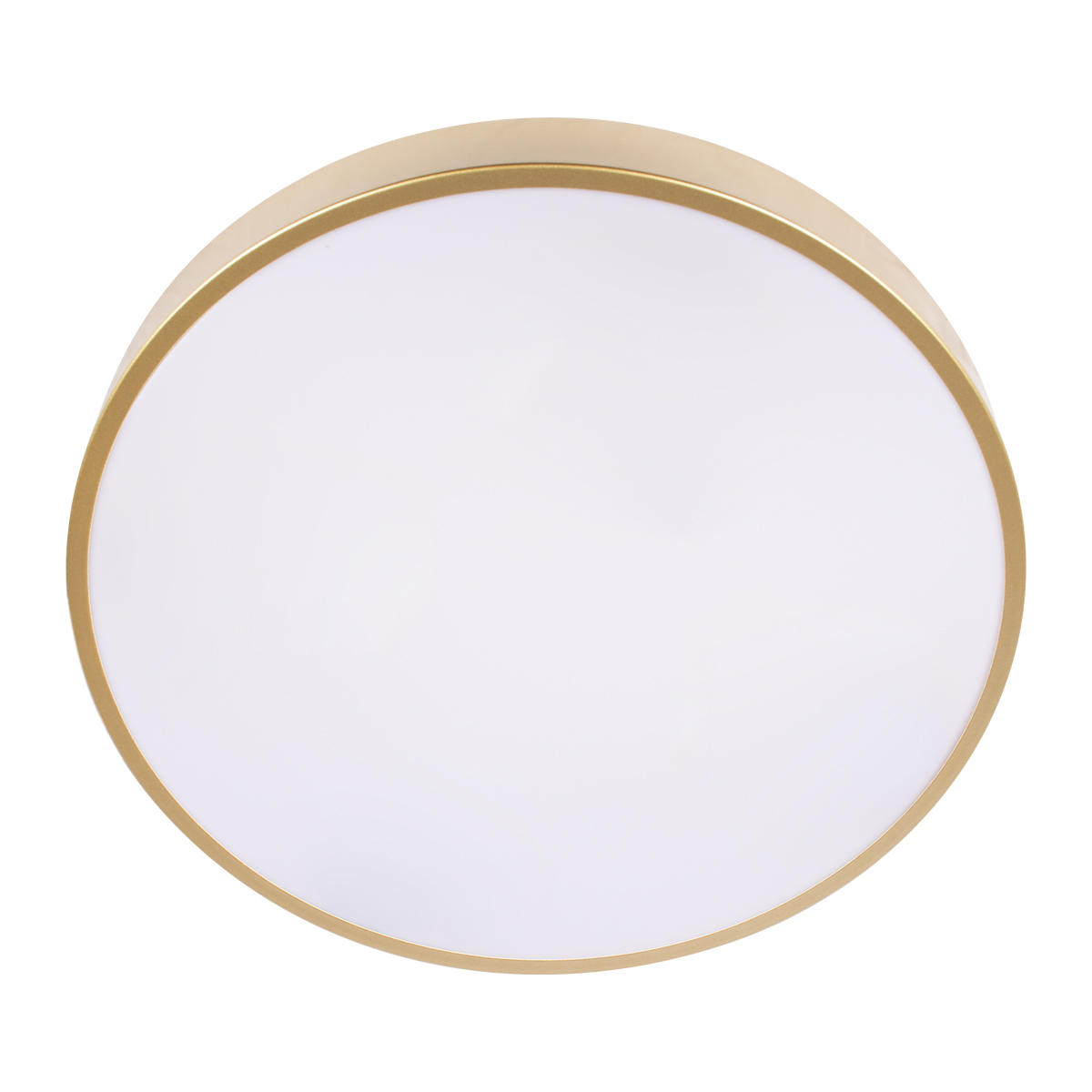 Потолочный светильник 40*5 см, 1*LED*24W 4000K золото LOFT IT Flims 10228/A