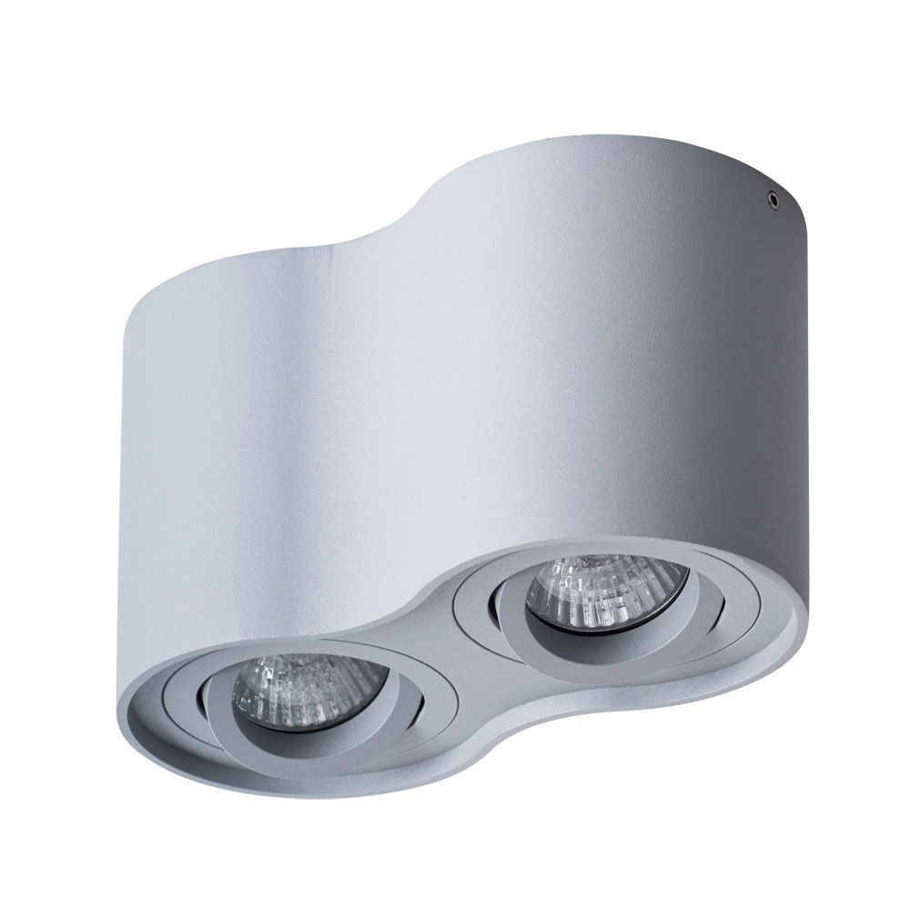 Потолочный светильник Arte Lamp Falcon A5645PL-2GY серый