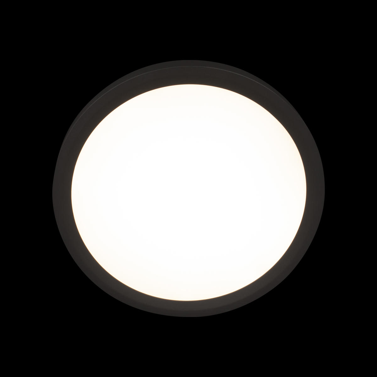 Потолочный светильник 30*3 см, 1*LED*24W 4000K черный LOFT IT Extraslim 10227/24 Black