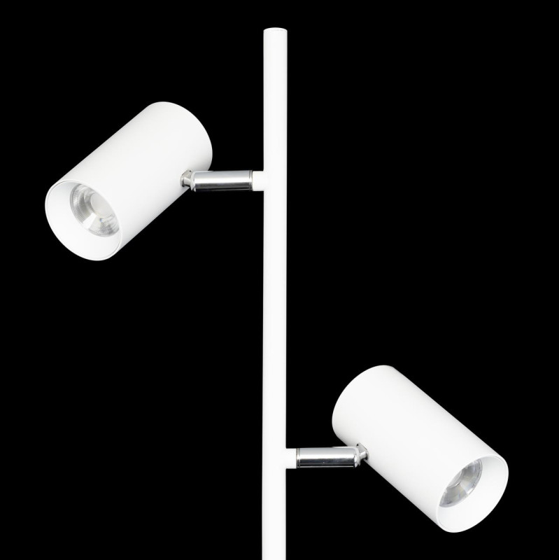 Торшер Citilux CL809010N Twin Белый 