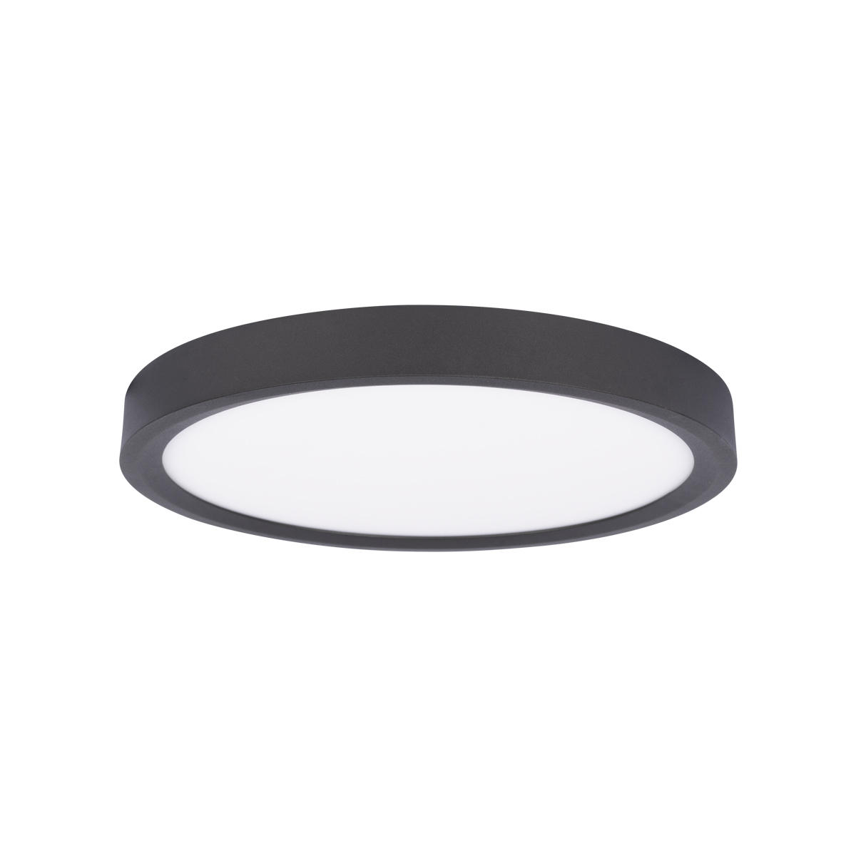 Потолочный светильник 30*3 см, 1*LED*24W 4000K черный LOFT IT Extraslim 10227/24 Black