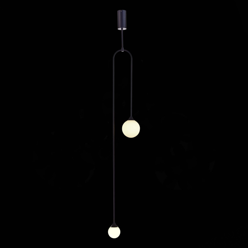 Светильник ST LUCE VIVE SL1187.403.02 Черный