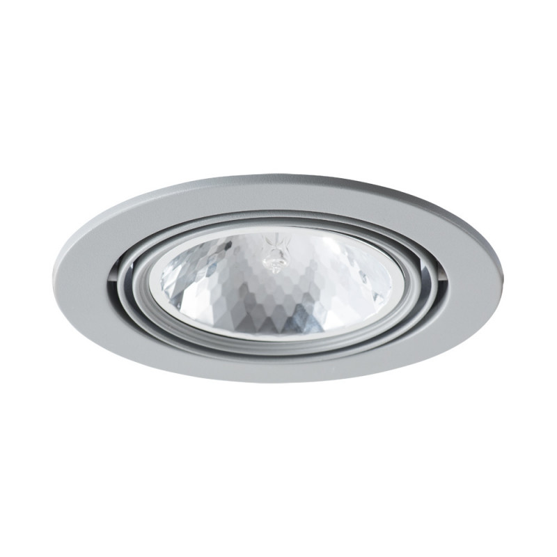 Точечный светильник Arte Lamp A6664PL-1GY серый
