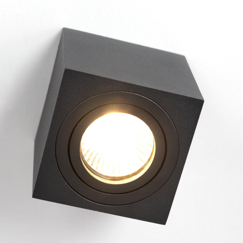 Светильник Черный Citilux Дюрен CL538213