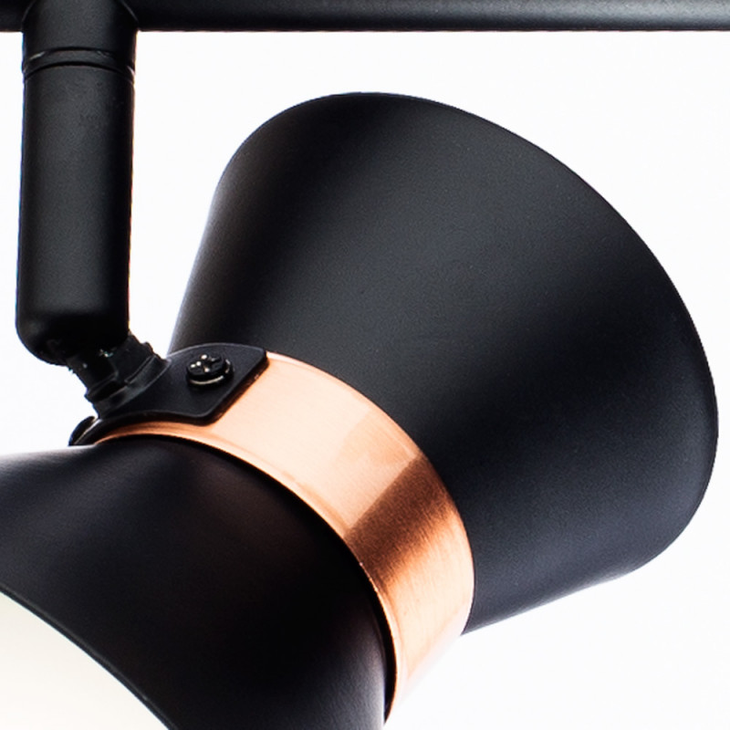 Спот Arte Lamp Baltimore A1406AP-2BK, черный/золотой