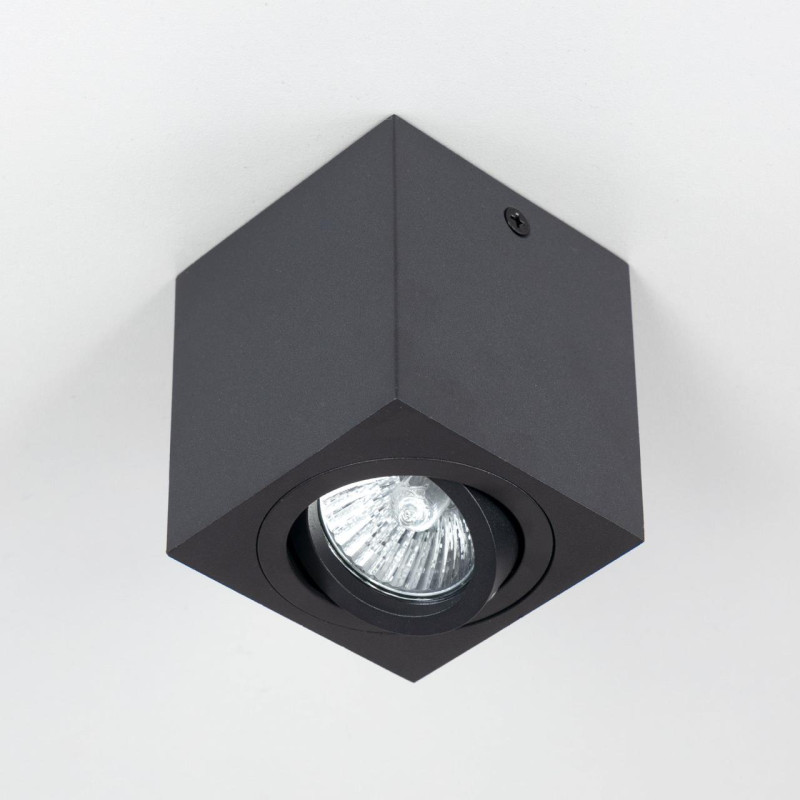Светильник Черный Citilux Дюрен CL538213