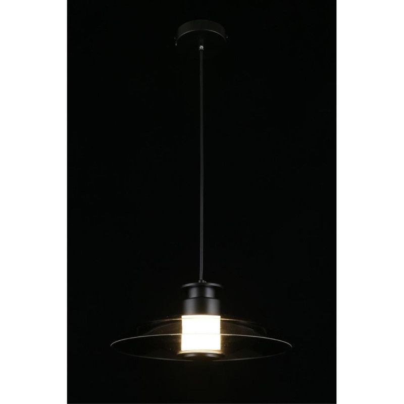 Подвесной светильник 30*40-200 см, 1*LED, 10W, 4000K, Aployt Stefa APL.648.06.10, черный