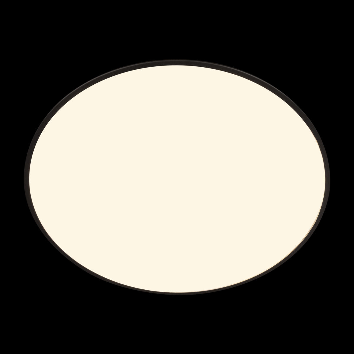Потолочный светильник 50*5 см, 1*LED*36W 4000K черный LOFT IT Brim 10226 Black