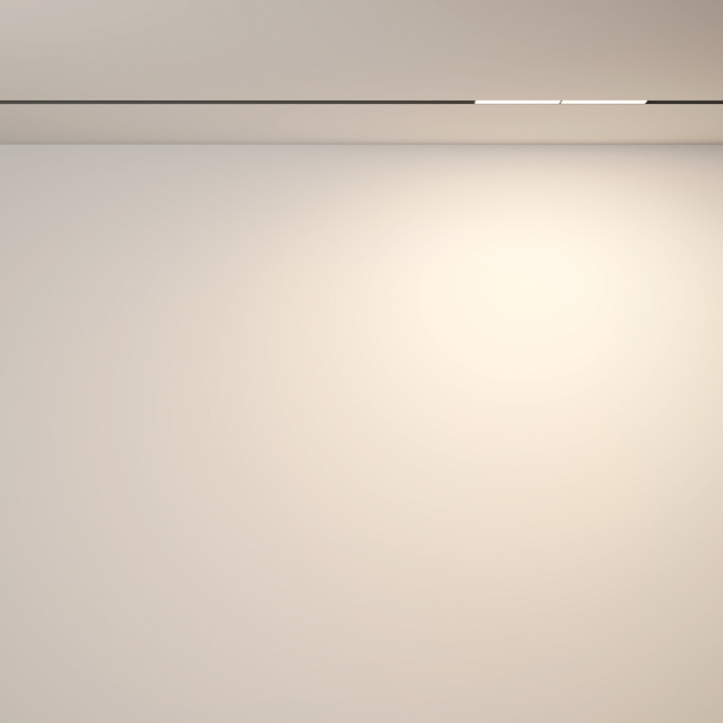 Светильник на шине 21,9*2,2*4,6 см, LED, 12W, 3000К, Maytoni Technical Parete TR106-2-12W3K-B черный