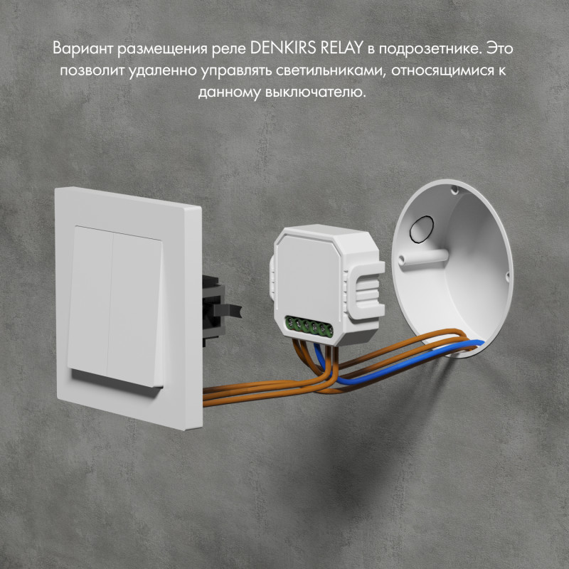 Wi-Fi реле Denkirs RL1002-SM белый