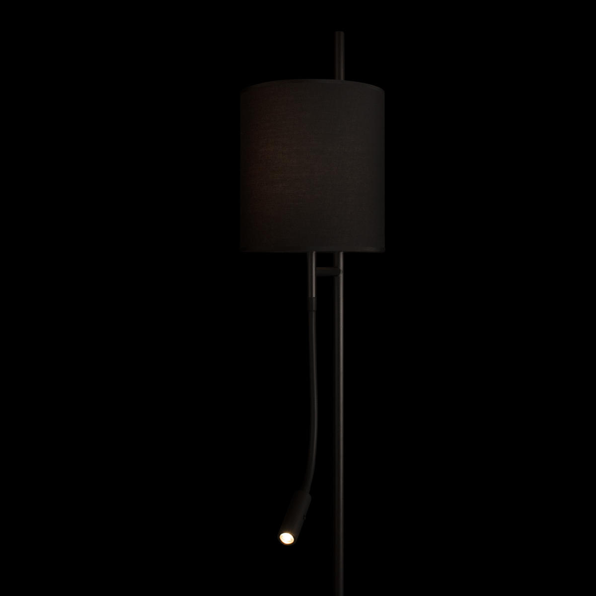 Торшер 20*176 см, 2*E27+LED*1X40W + 1X3W 3200K LOFT IT Ritz 10253F/B Black черный