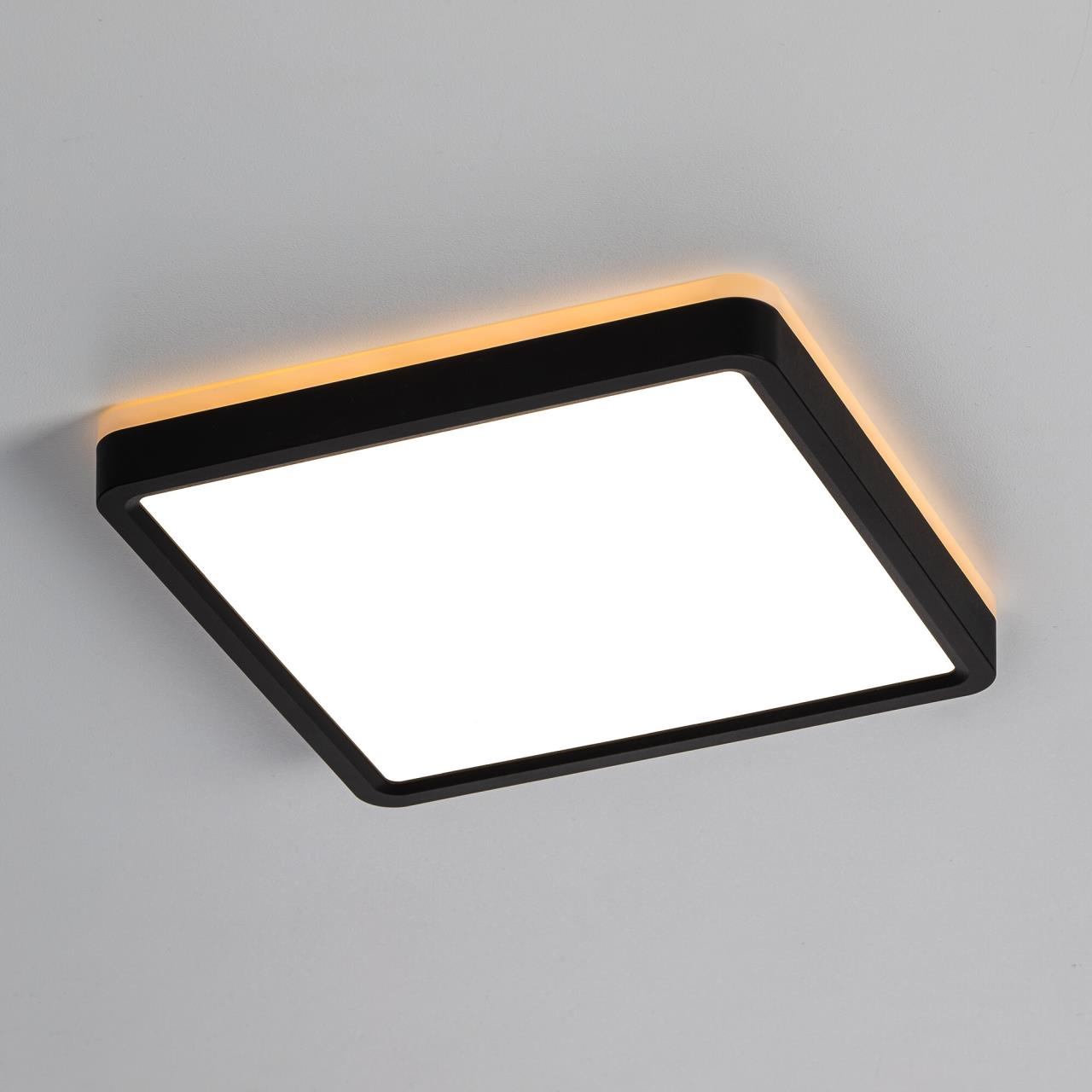 Светильник с подсветкой 20 см, 23W, 3000-5500K, Citilux NORMA CL748K201 LED, черный