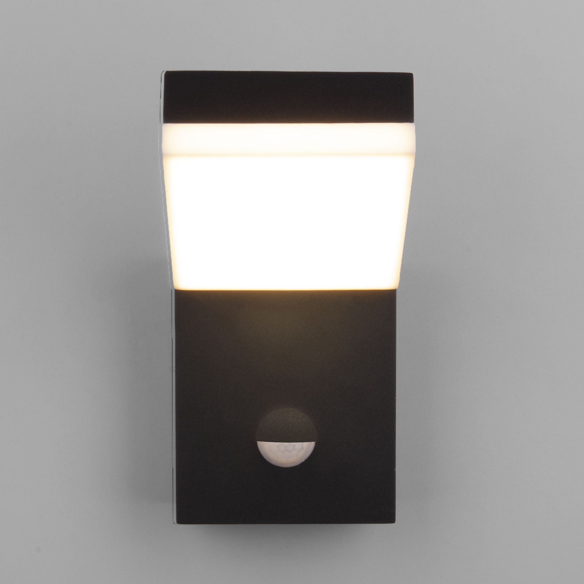 Уличный настенный светодиодный светильник Sensor IP54 (с датчиком движения) 1541 TECHNO LED черный Elektrostandard