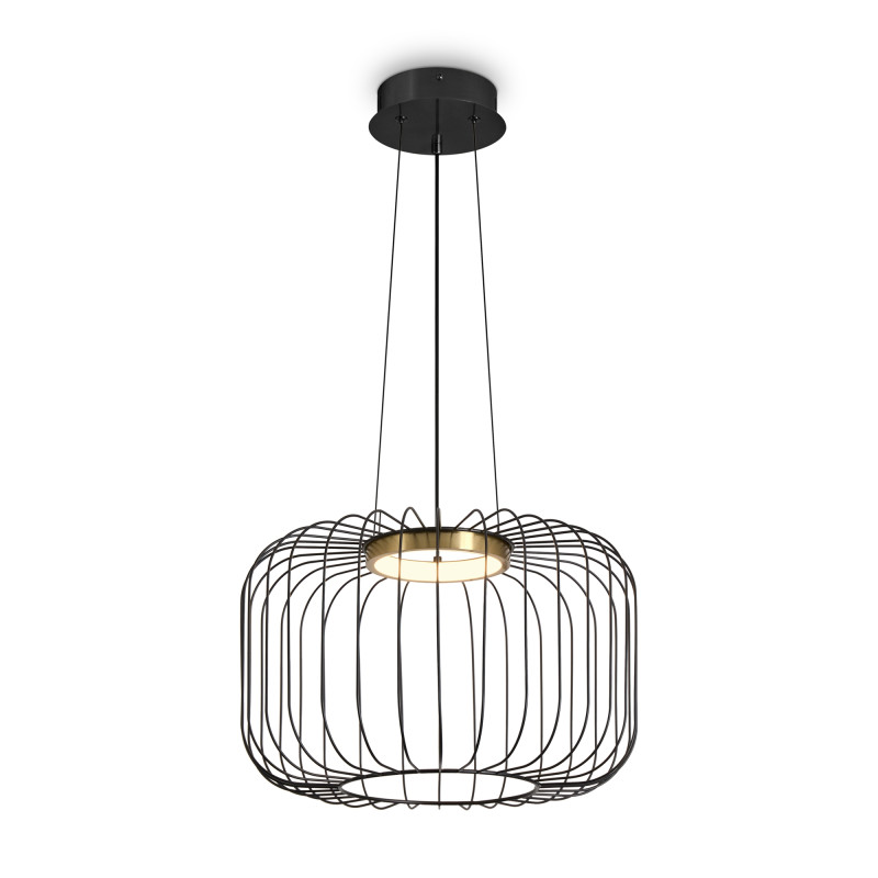 Подвесной светильник 40 см, 10W, 3000K, Freya Citrus FR5398PL-L8B, черный
