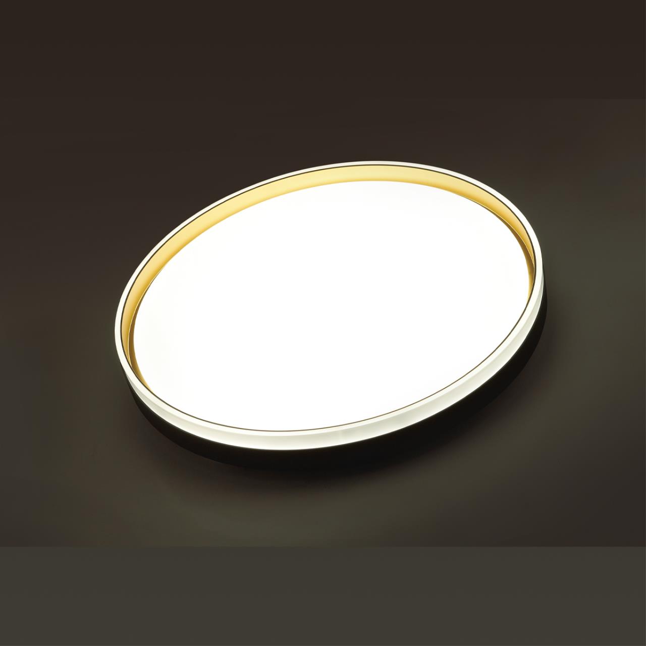 Cветильник 39*7 см, LED 48W, 3000-6000 К, IP43, белый/черный/золотистый, пластик Sonex Savi, 7619/DL