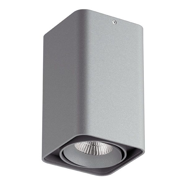 Светильник 10*10*17 см Lightstar 052139, серый, IP65